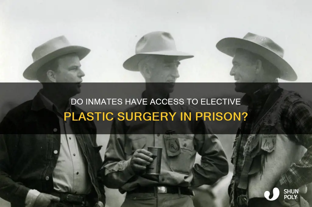 do inmates have access to elective plastic surgery