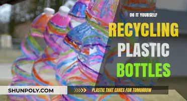 Creative DIY Recycling Ideas for Transforming Plastic Bottles at Home