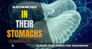 Jellyfish Stomachs: Plastic Pollution's Impact