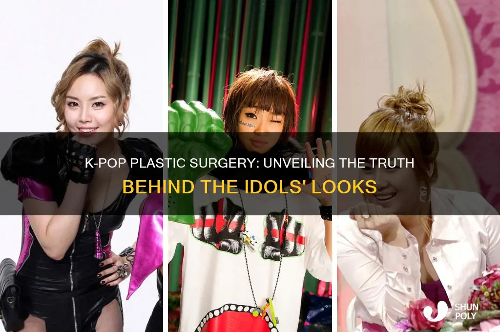 do kpop stars do plastic surgery