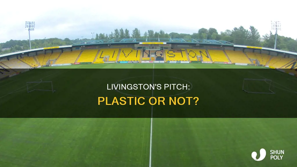 do livingston have a plastic pitch