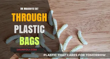 Can Maggots Penetrate Plastic Bags? Uncovering the Surprising Truth