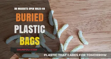 Maggots and Plastic: Can They Penetrate Buried Bags?