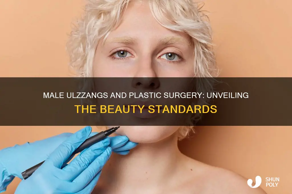 do male ulzzangs get plastic surgery