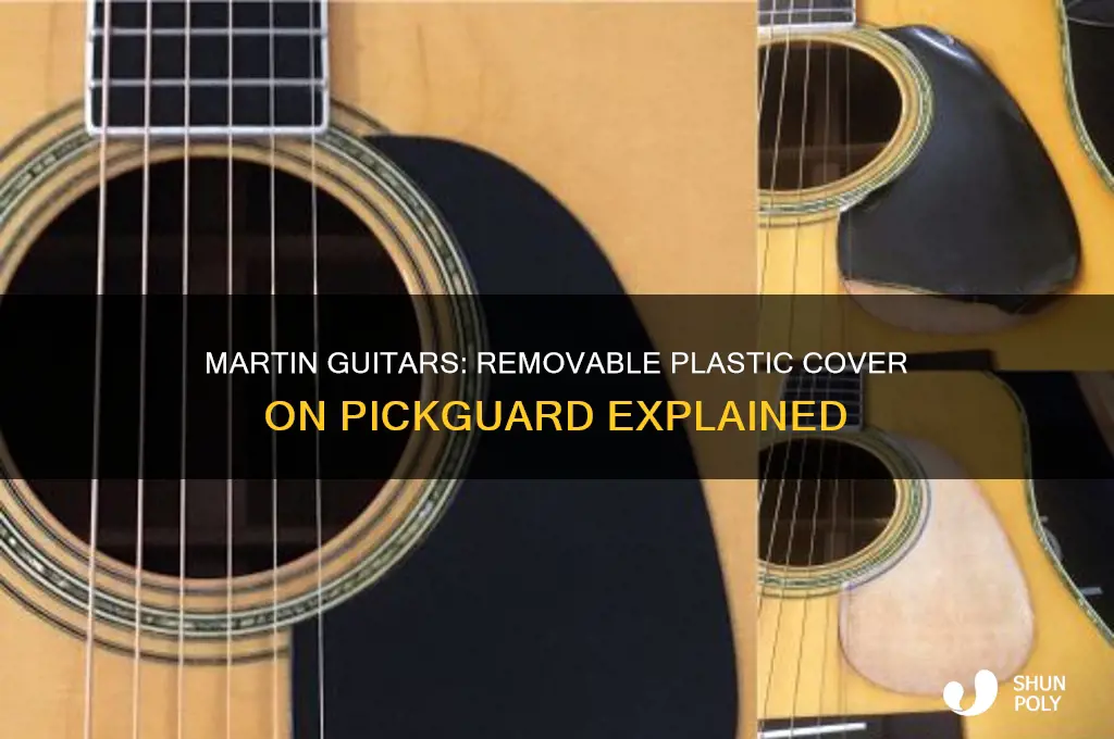 do martin come with a removable plastic cover on pickguard