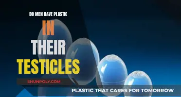 Plastic in Testicles: Are Men's Reproductive Organs at Risk?