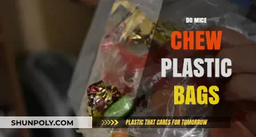 Do Mice Chew Plastic Bags? Uncovering Rodent Behavior and Risks