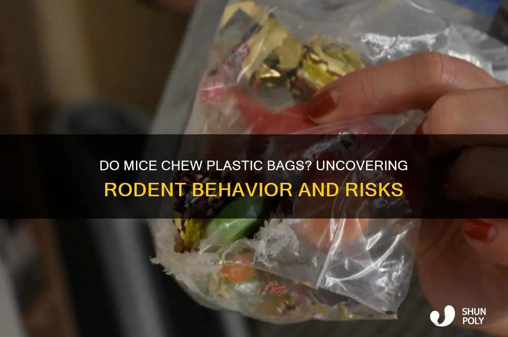 do mice chew plastic bags