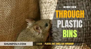 Plastic Bins: Safe Storage or Mice Buffet?