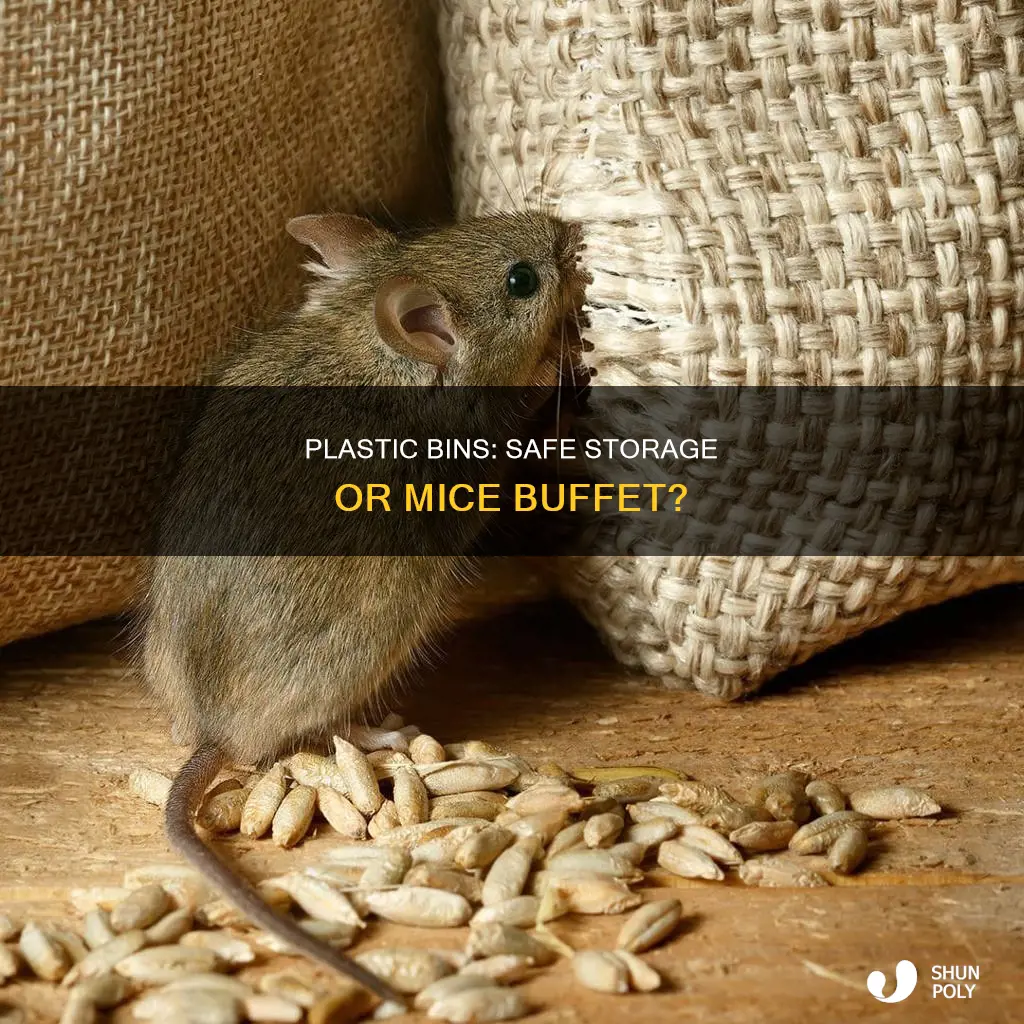 do mice chew through plastic bins