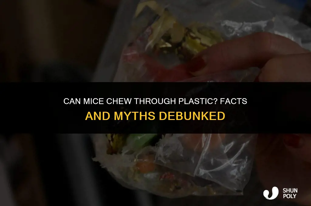 do mice chew through plastic