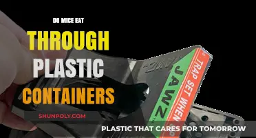 Plastic Containers: Safe from Mice?