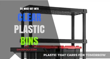 Can Mice Invade Clear Plastic Bins? Facts and Prevention Tips
