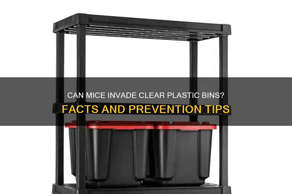 do mice get into clear plastic bins