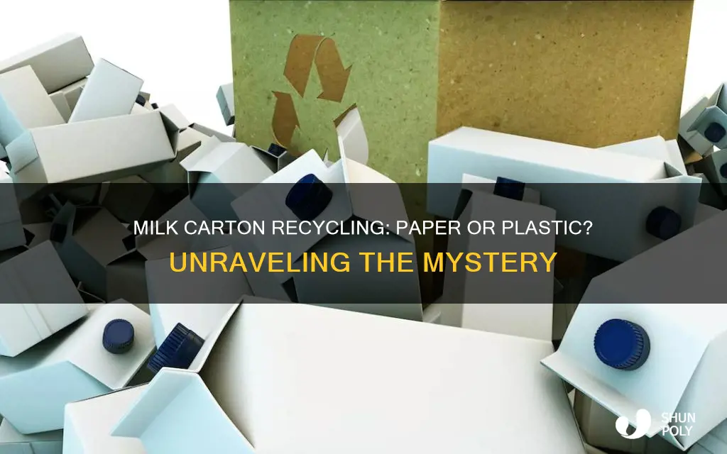 do milk cartons go in paper or plastic recycling