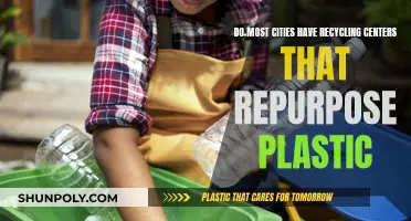 Repurposing Plastic: Do Cities Have the Recycling Resources?