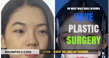 Unveiling K-Pop Secrets: Male Idols and Plastic Surgery Trends