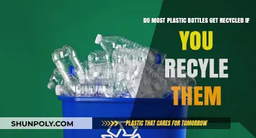 Do Most Plastic Bottles Actually Get Recycled When You Recycle Them?
