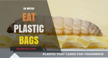 Can Moths Digest Plastic Bags? Unraveling the Myth and Facts