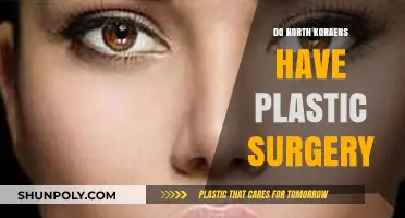 Exploring the Prevalence of Plastic Surgery in North Korea