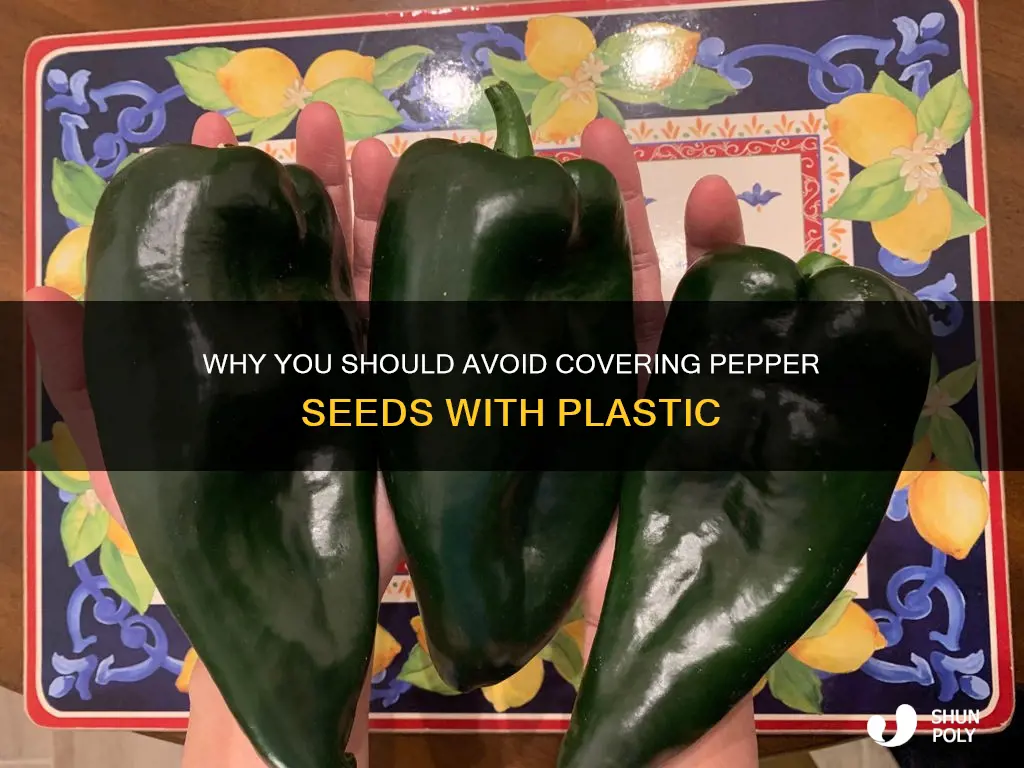 do not cover pepper seeds with plastic