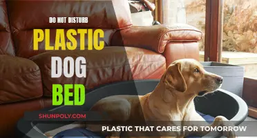 Plastic Dog Bed: Peaceful Sleep, No Disturbance