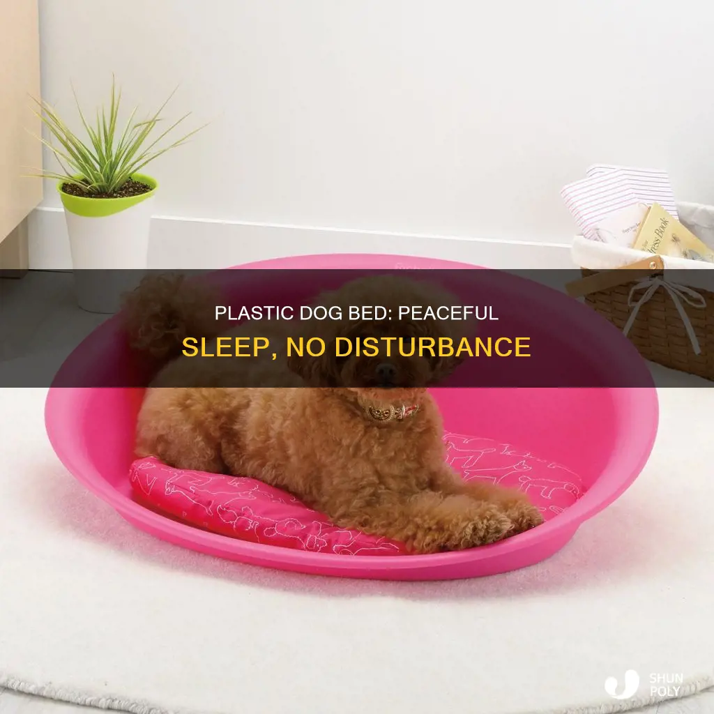 do not disturb plastic dog bed