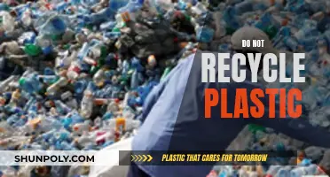 Why Recycling Plastic Might Not Be the Best Option