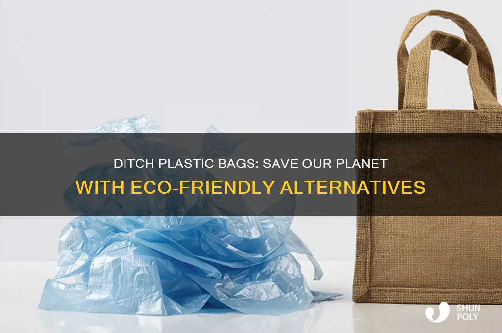 do not use plastic bags essay