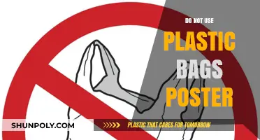 Say No to Plastic Bags: Creative Poster Ideas for a Greener Future