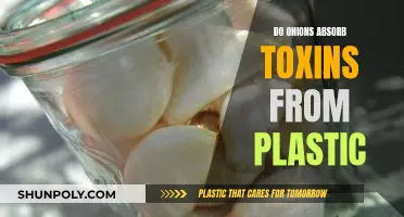 Onion Power: Absorbing Toxins from Plastic?