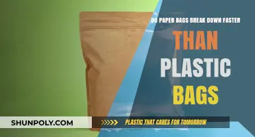 Paper vs. Plastic: Which Bag Decomposes Faster in the Environment?