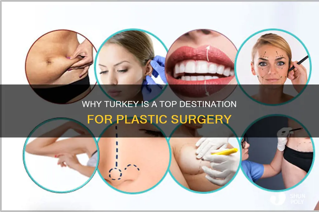 do people go to turkey for plastic surgery