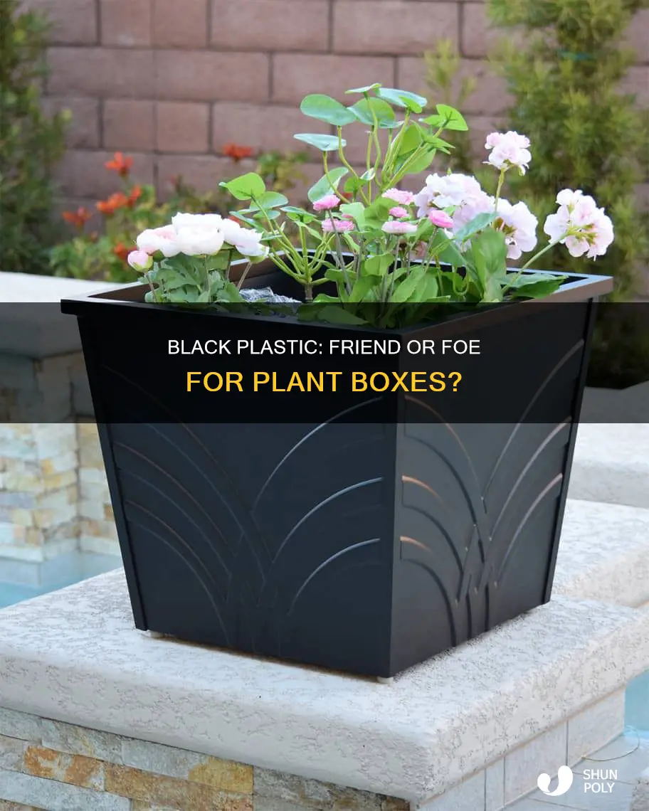 do plant boxes need black plastic