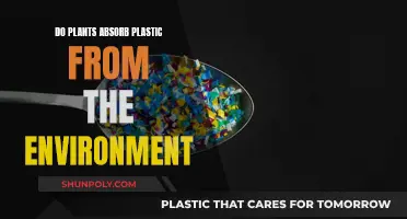 Plants Absorbing Plastic: Nature's Impact and Future