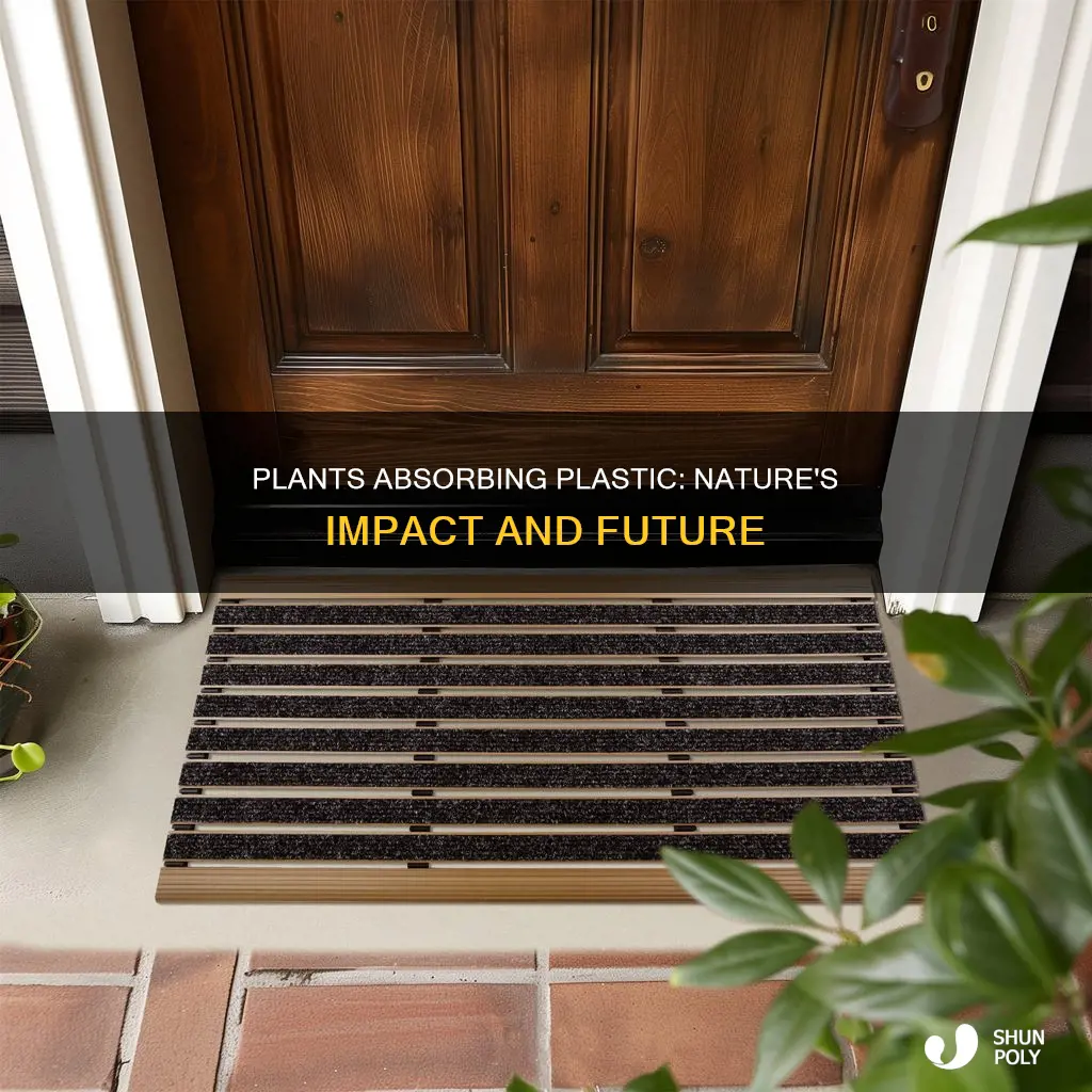 do plants absorb plastic from the environment