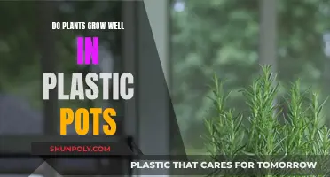 Plastic Pots: Good or Bad for Plant Growth?