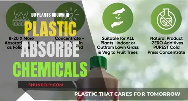 Plants, Plastics, and Chemicals: What's Being Absorbed?
