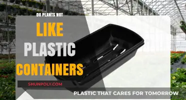 Plastic Containers: Plants' Silent Killers