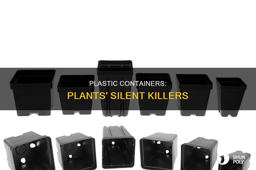do plants not like plastic containers