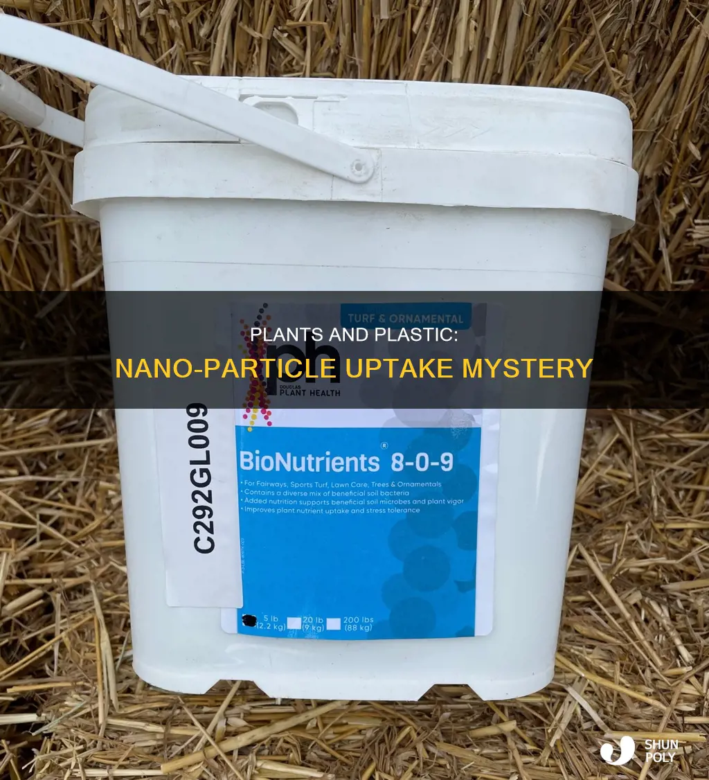 do plants uptake plastics nano particles