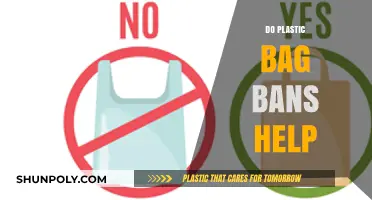 Plastic Bag Bans: Effective Solution or Symbolic Gesture?