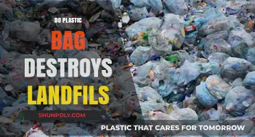 Plastic Bags in Landfills: Environmental Impact and Long-Term Consequences