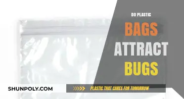 Do Plastic Bags Attract Bugs? Uncovering the Truth and Prevention Tips