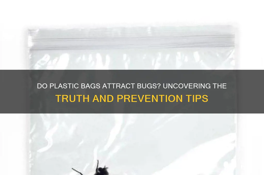 do plastic bags attract bugs