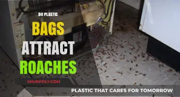 Do Plastic Bags Attract Roaches? Uncovering the Truth and Prevention Tips