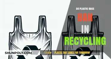 Should Plastic Bags Be Banned from Recycling? Pros, Cons, and Solutions