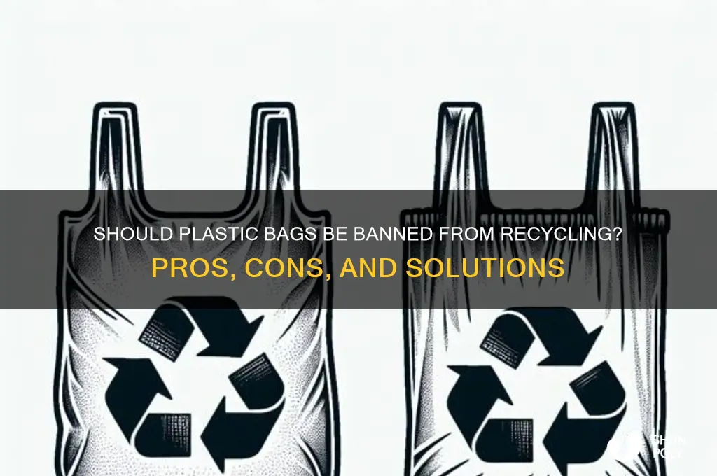 do plastic bags ban in recycling