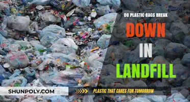 Do Plastic Bags Decompose in Landfills? Uncovering the Environmental Impact
