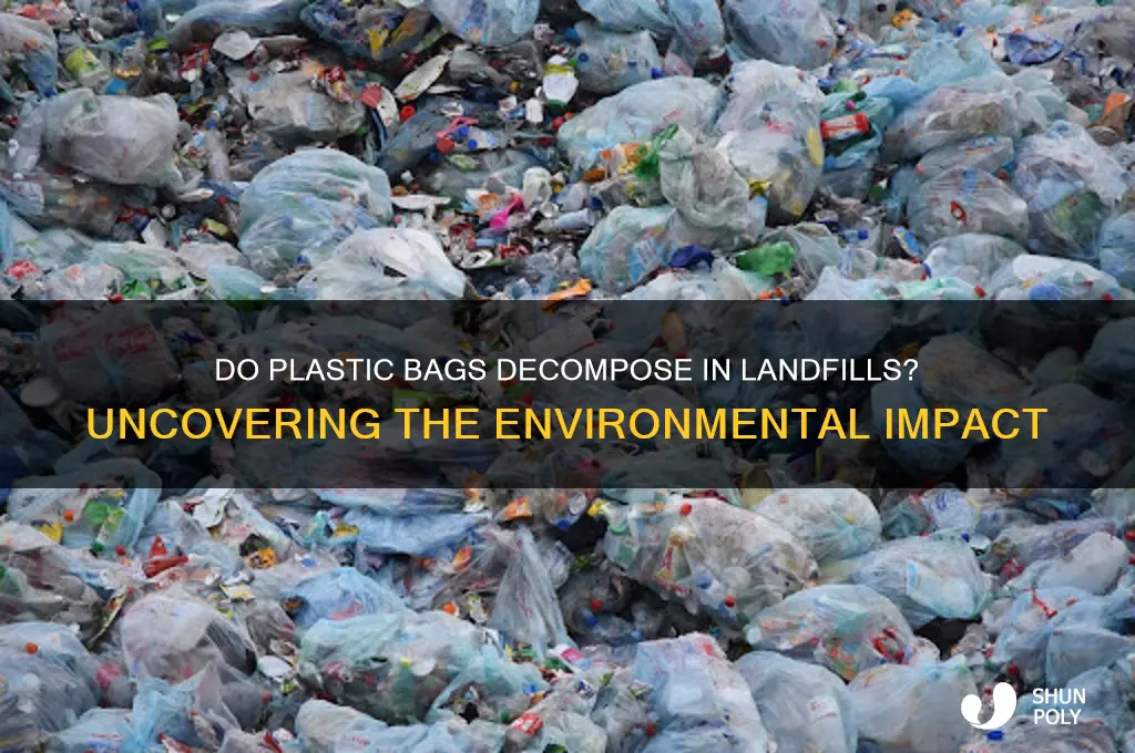 do plastic bags break down in landfill